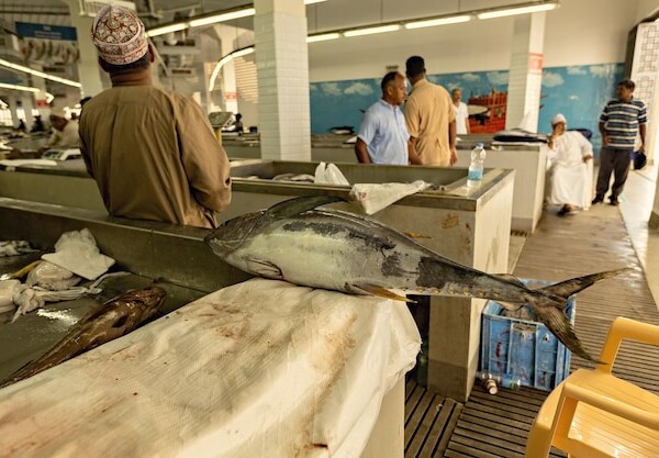 smazalnia ryb alwernia