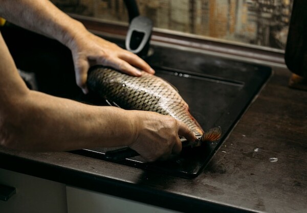 smazalnia ryb barlinek