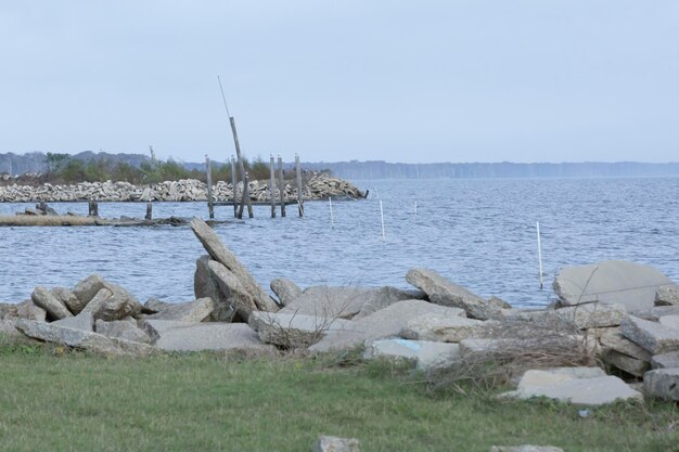 smazalnia ryb belchatow