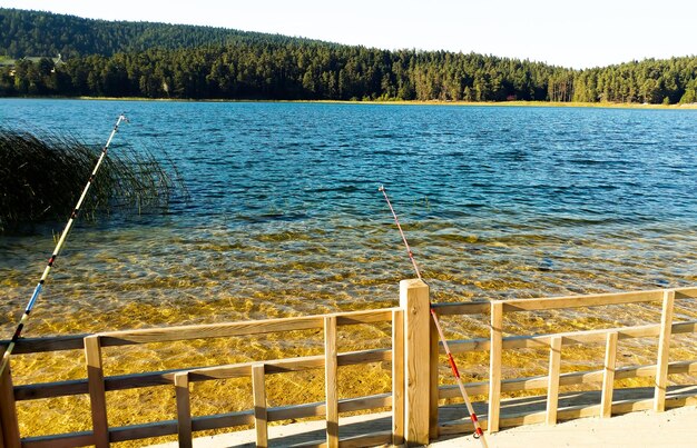 smazalnia ryb bialystok