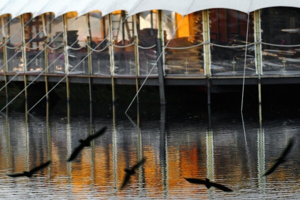 smazalnia ryb chelmza