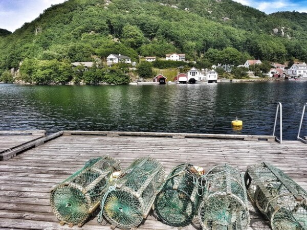 smazalnia ryb dobczyce