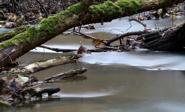 smazalnia ryb dzierzoniow