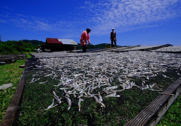smazalnia ryb koscian