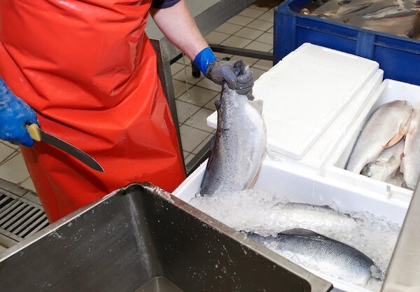 smazalnia ryb koscierzyna