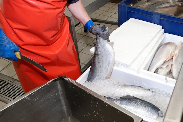 smazalnia ryb koscierzyna