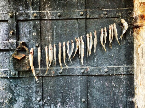 smazalnia ryb kruszwica