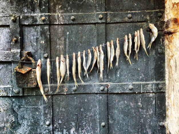 smazalnia ryb kruszwica