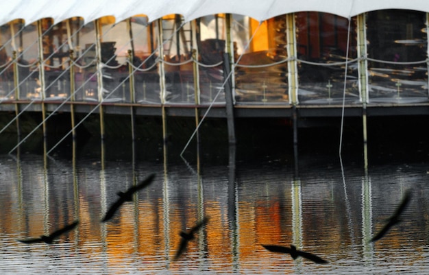 smazalnia ryb miroslawiec