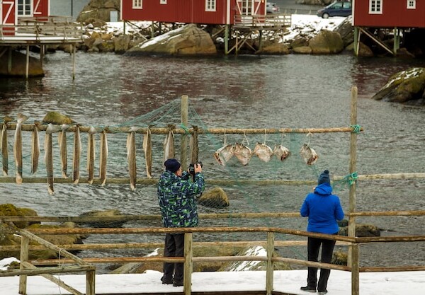 smazalnia ryb myslowice