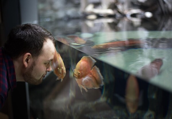 smazalnia ryb ozimek