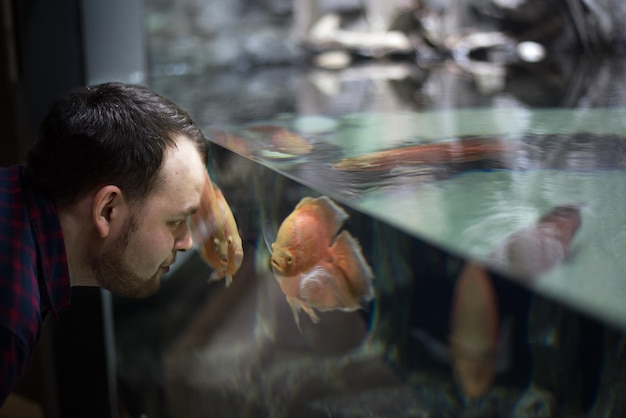 smazalnia ryb ozimek