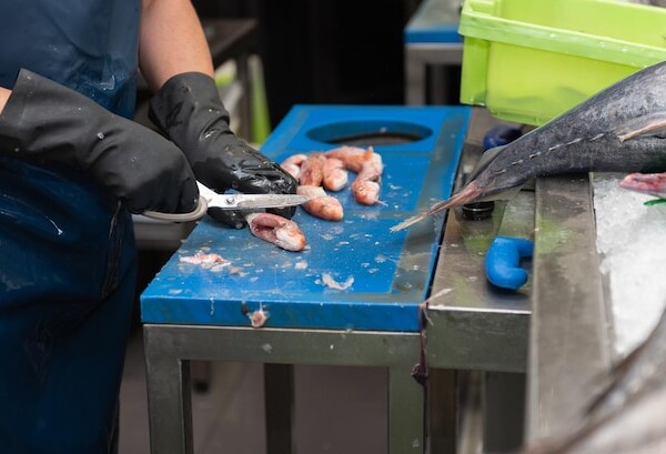 smazalnia ryb przysucha