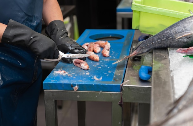 smazalnia ryb przysucha