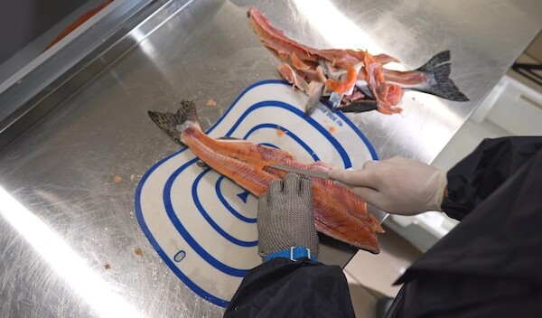 smazalnia ryb sierakow