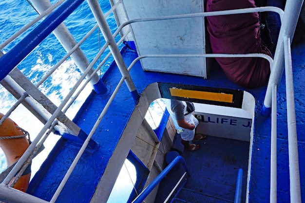 smazalnia ryb steszew