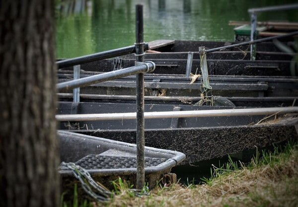 smazalnia ryb swiebodzice