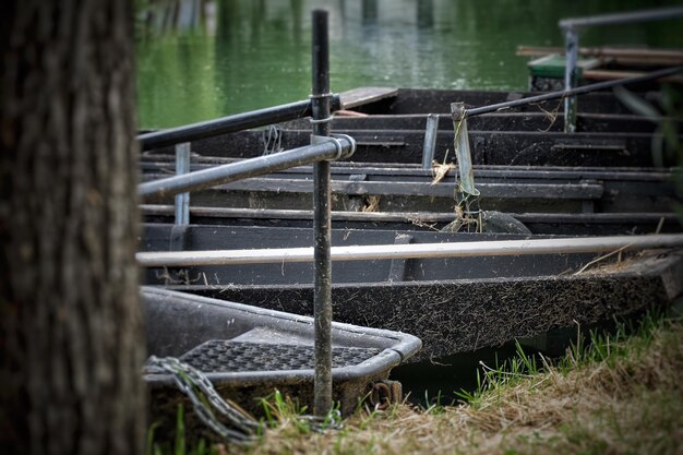 smazalnia ryb swiebodzice