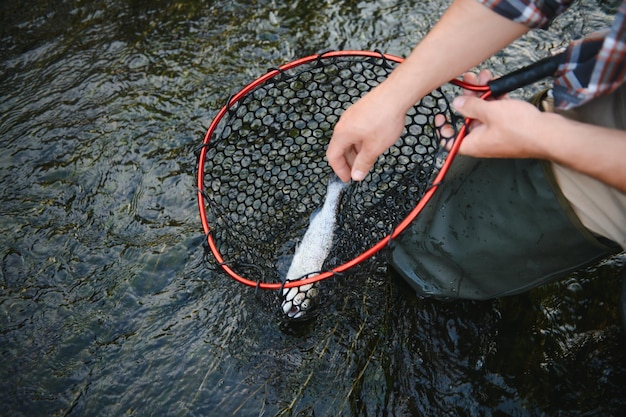 smazalnia ryb szczytna