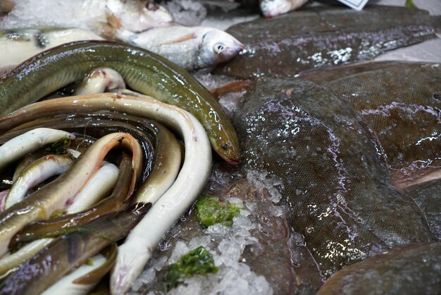 smazalnia ryb trzebnica